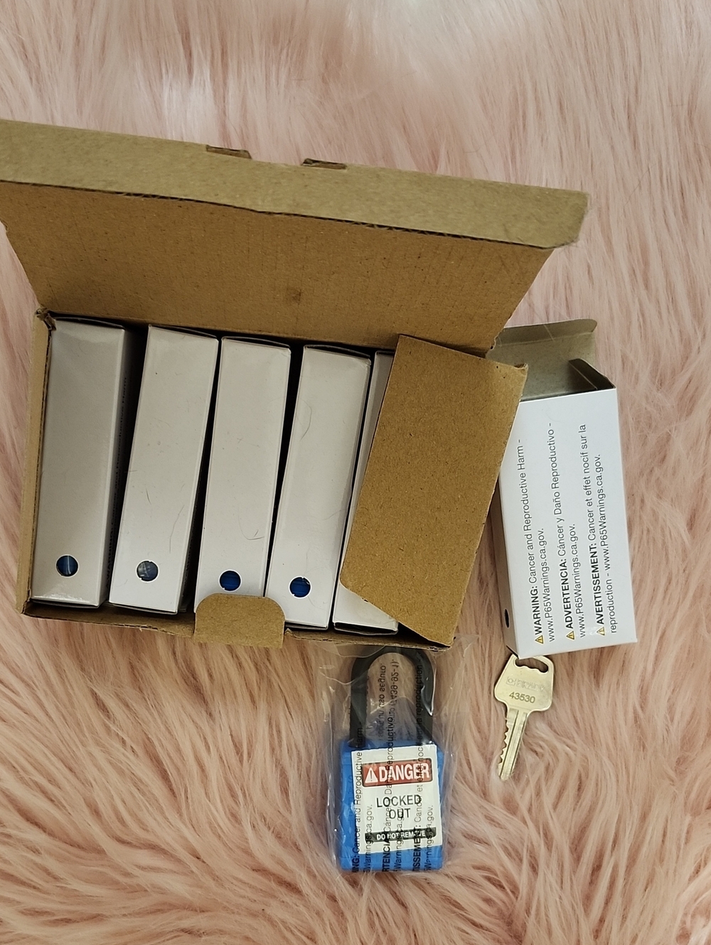 Brand New 6PK BRADY KEYED ALIKE 1.5" NYLON PADLOCKS